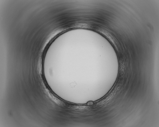 X0000111531131200908041259