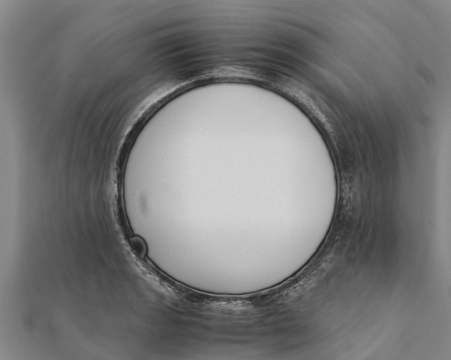 X0000111531133200908041259