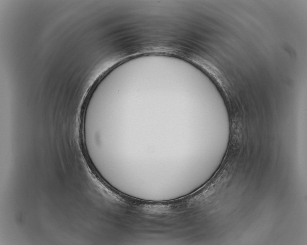 X0000111531135200908041259