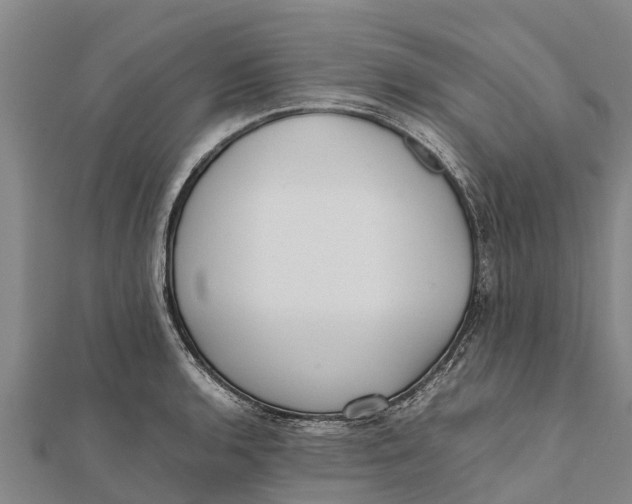 X0000111531136200908041259