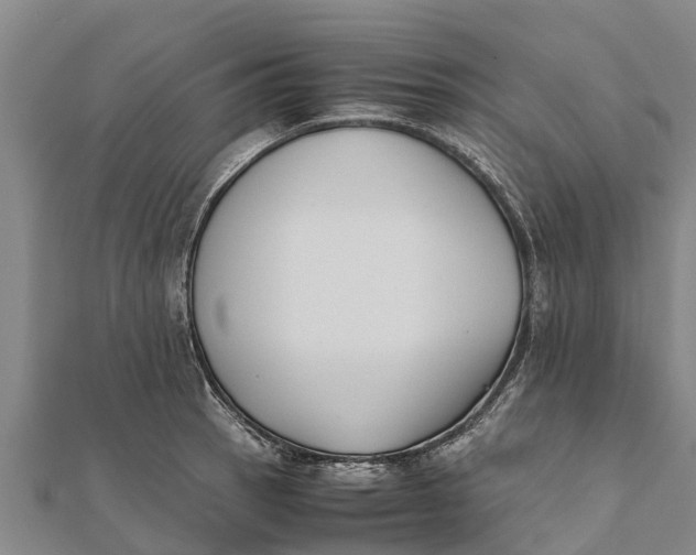 X0000111531137200908041259