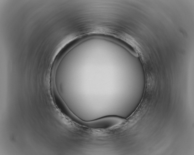 X0000111531138200908041259