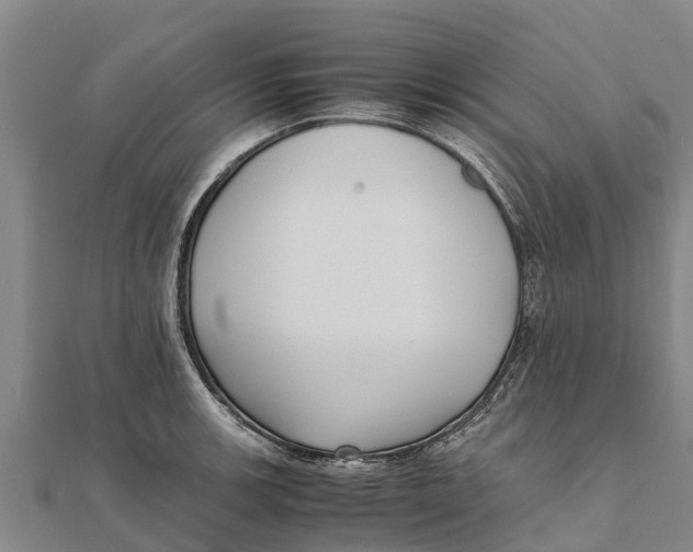 X0000111531139200908041259