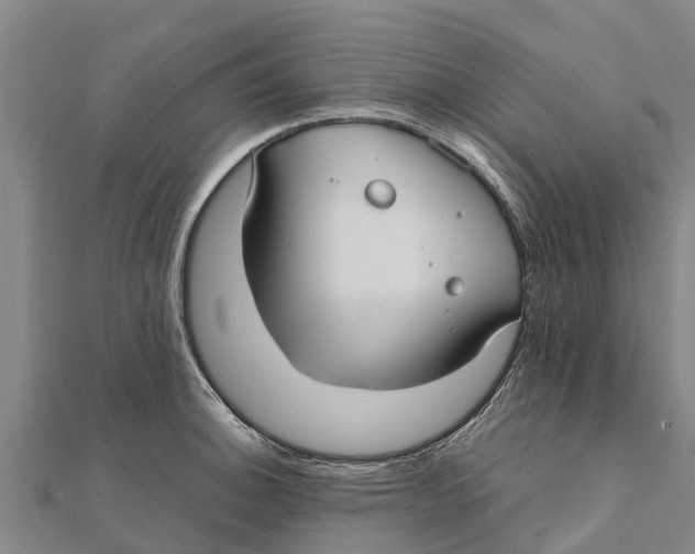 X0000111531140200908041259