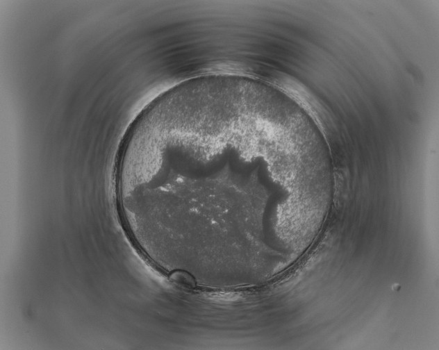 X0000111531141200908041259