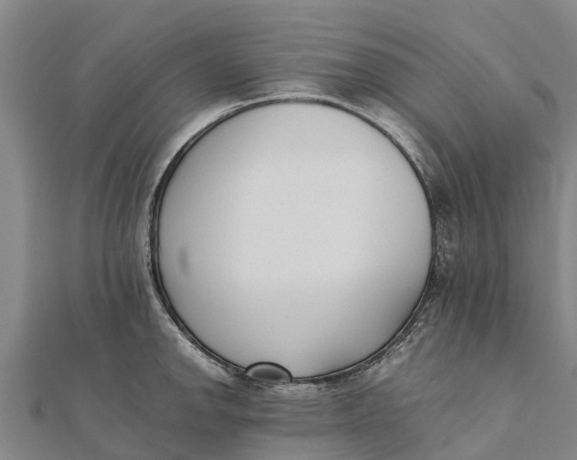 X0000111531142200908041259