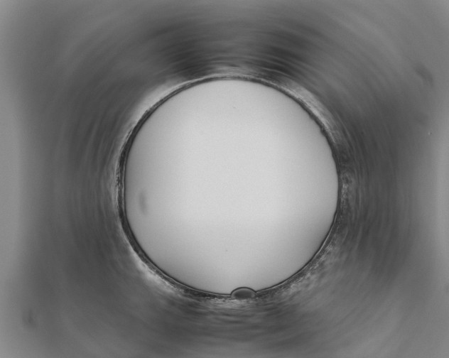 X0000111531143200908041259