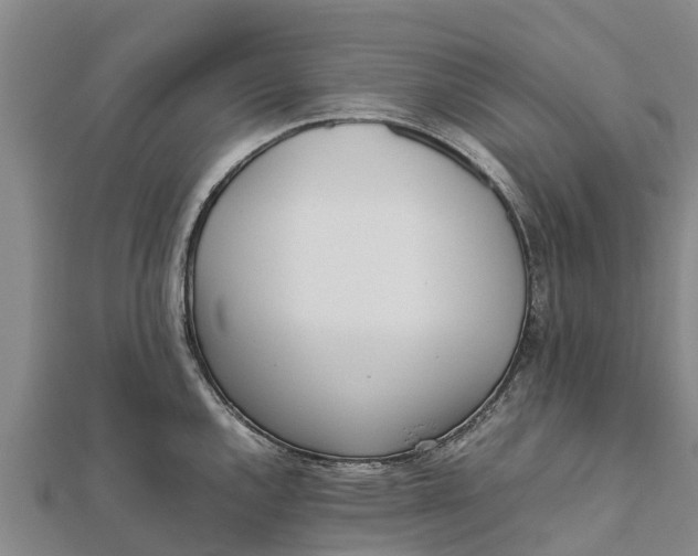 X0000111531144200908041259