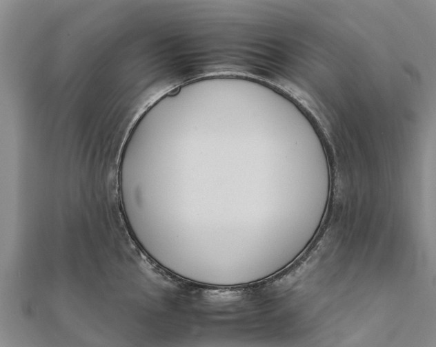 X0000111531145200908041259