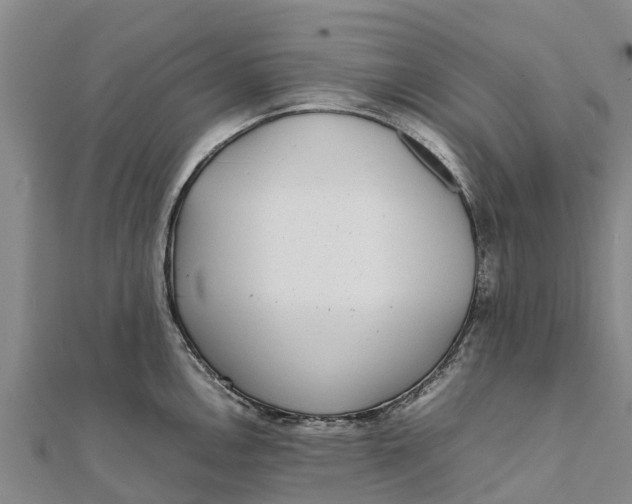 X0000111531146200908041259