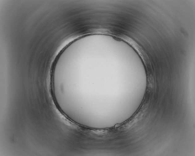 X0000111531147200908041259