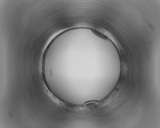 X0000111531148200908041259