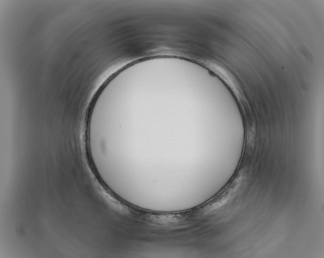 X0000111531149200908041259