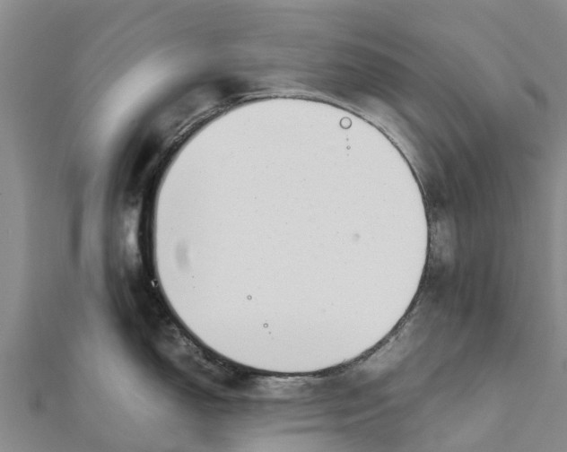 X0000111531150200908041259