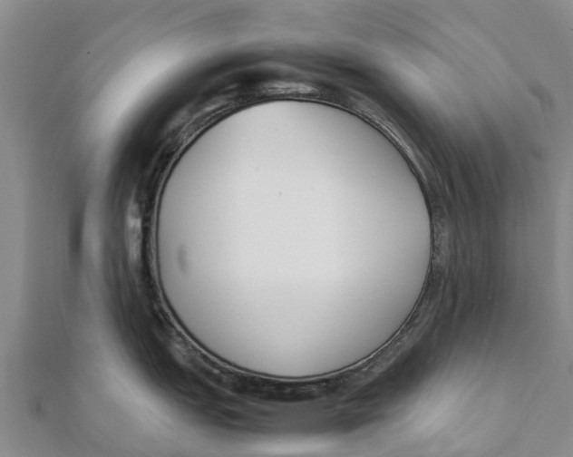 X0000111531151200908041259