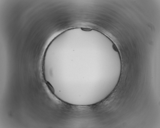 X0000111531152200908041259