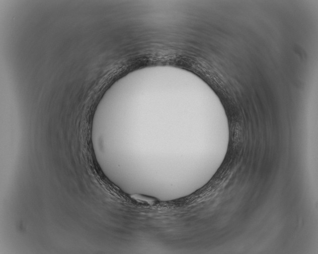 X0000111531153200908041259