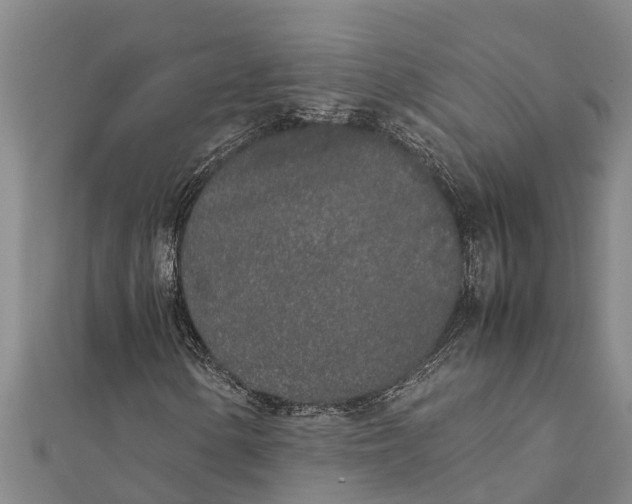 X0000111531154200908041259