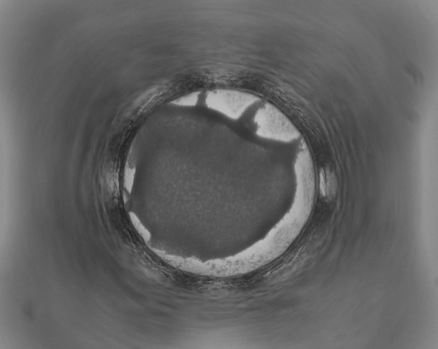 X0000111531155200908041259