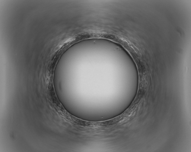 X0000111531157200908041259