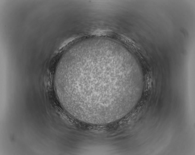 X0000111531158200908041259