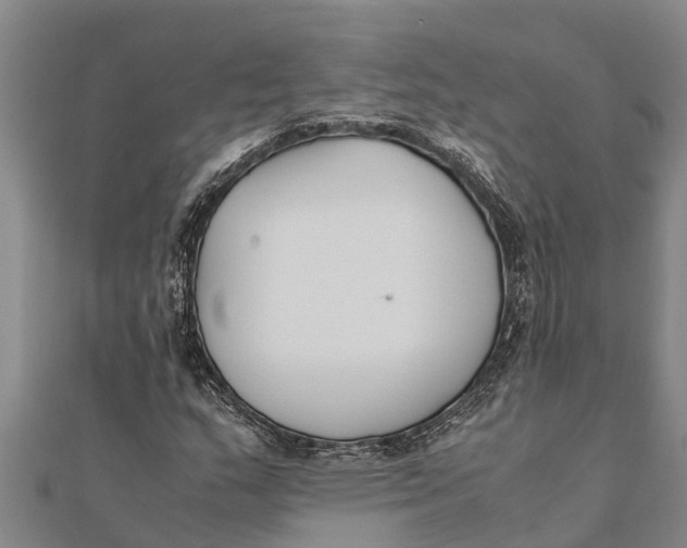 X0000111531159200908041259