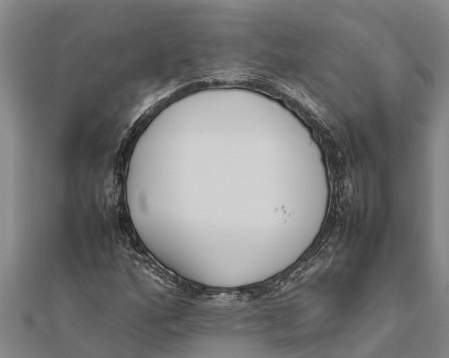 X0000111531160200908041259