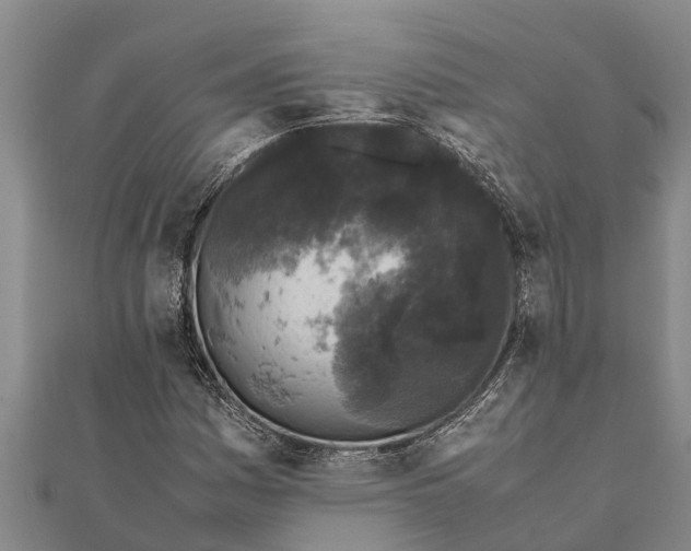 X0000111531161200908041259