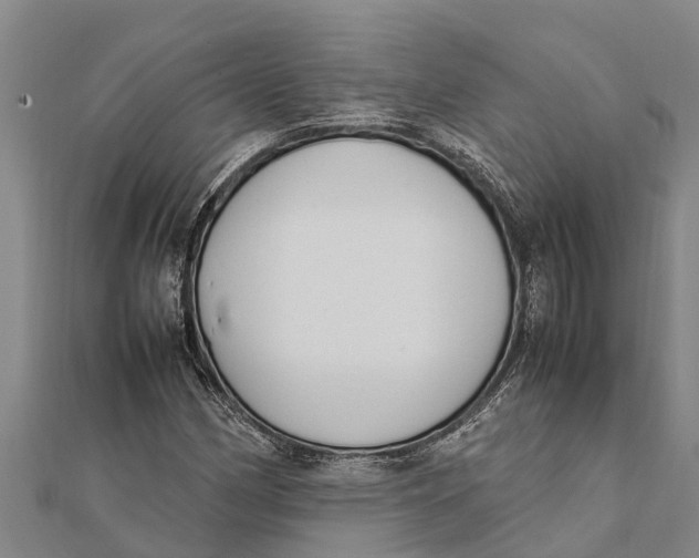 X0000111531162200908041259