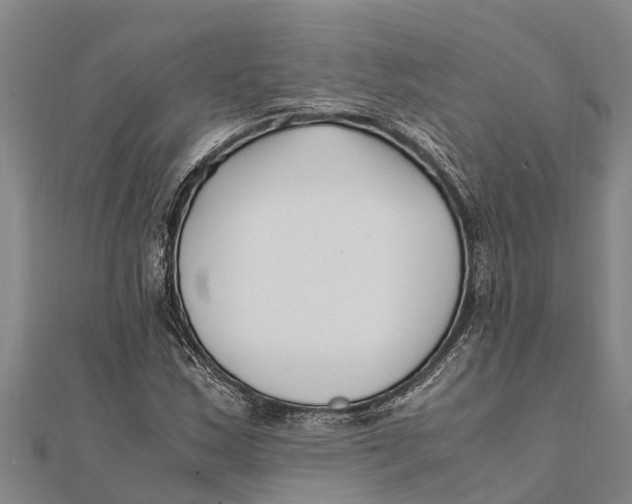 X0000111531163200908041259