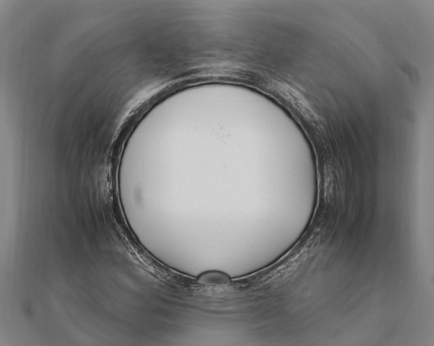 X0000111531164200908041259