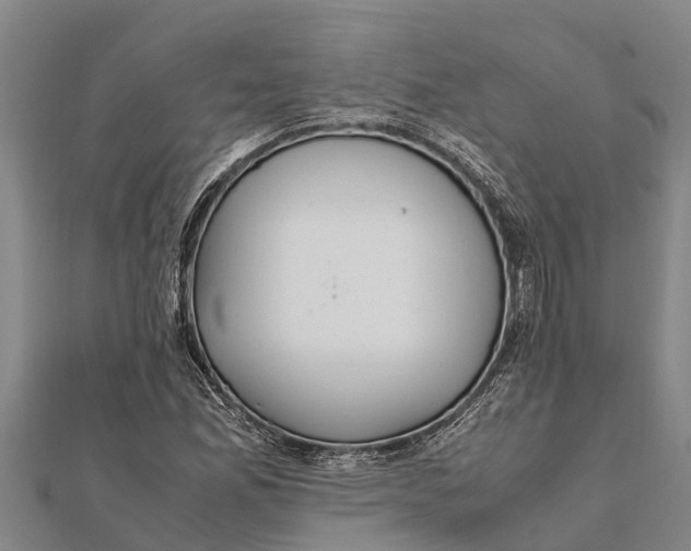 X0000111531165200908041259