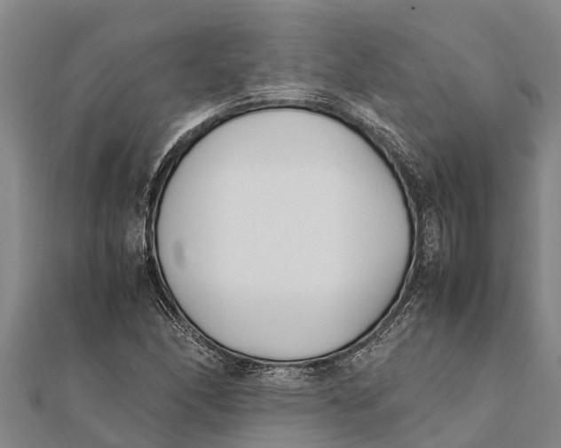 X0000111531166200908041259