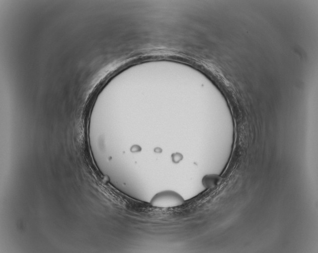 X0000111531167200908041259