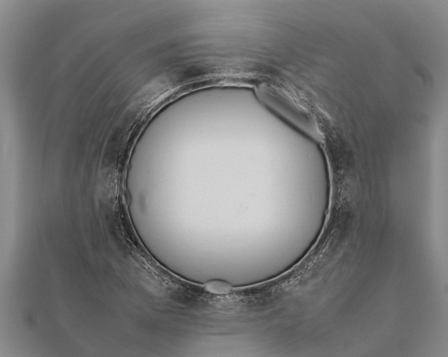 X0000111531169200908041259