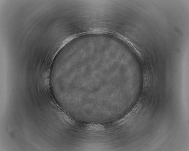 X0000111531170200908041259