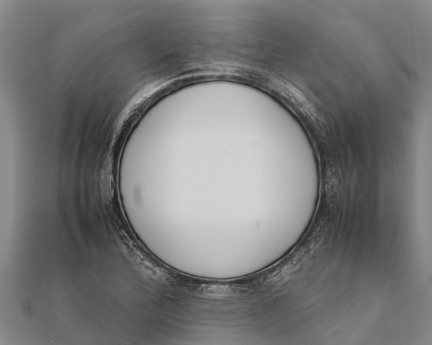 X0000111531172200908041259