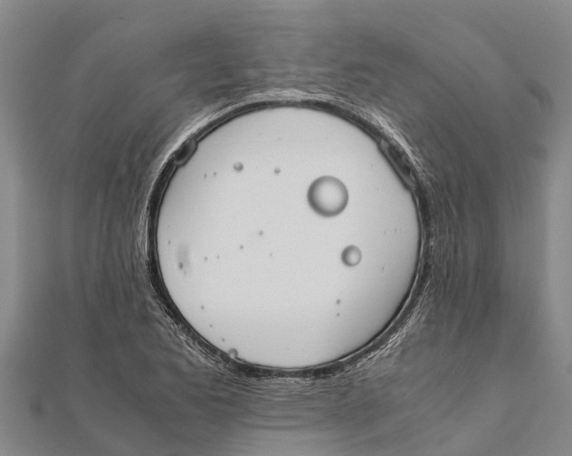 X0000111531173200908041259