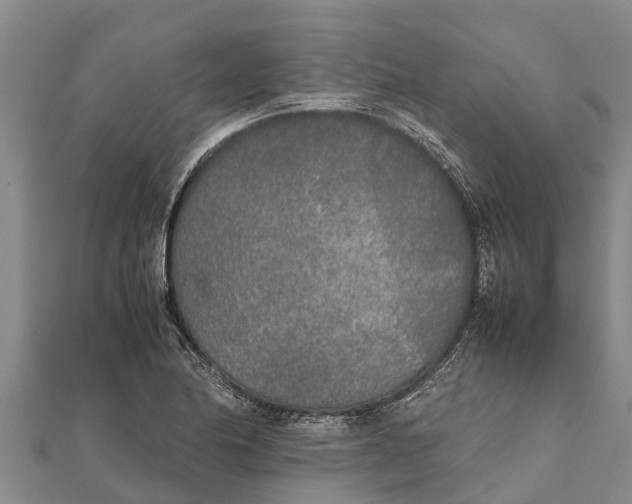 X0000111531174200908041259