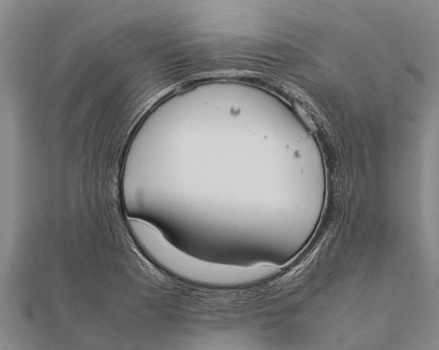 X0000111531177200908041259