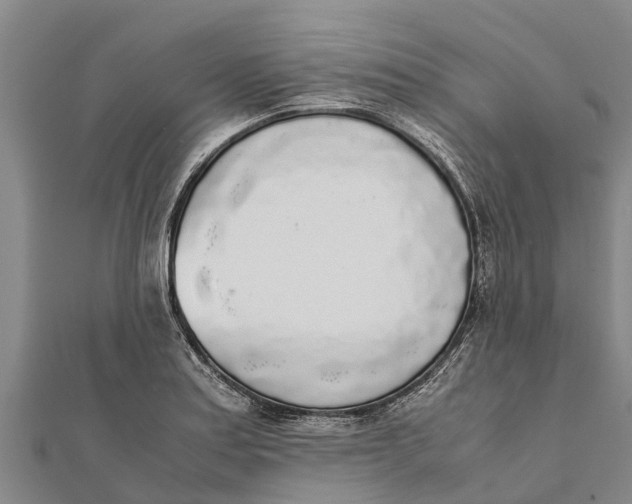 X0000111531179200908041259