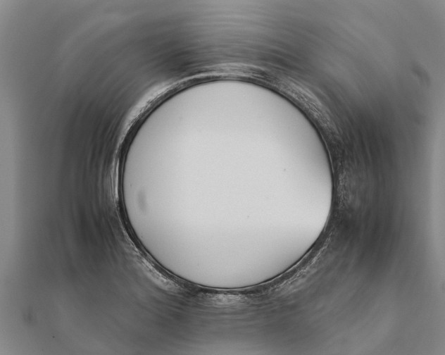 X0000111531180200908041259