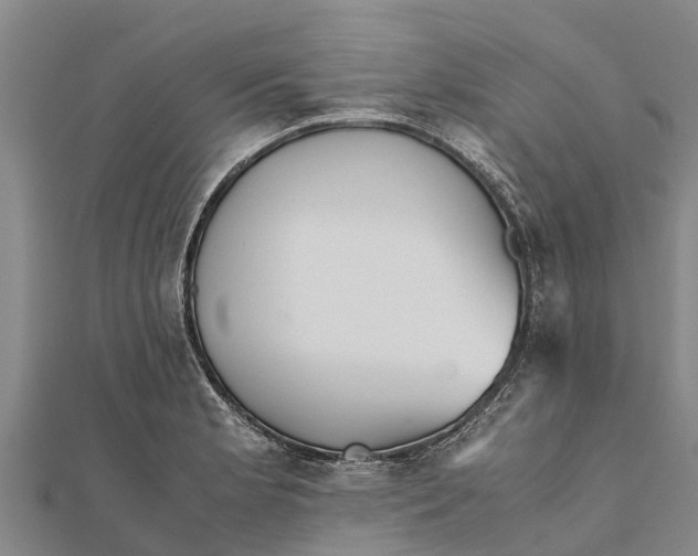 X0000111531181200908041259