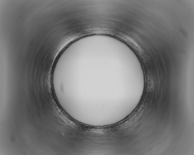 X0000111531182200908041259