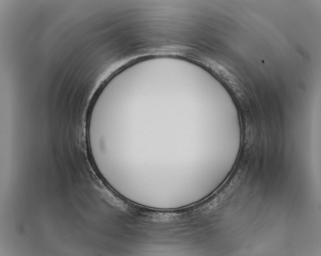 X0000111531184200908041258