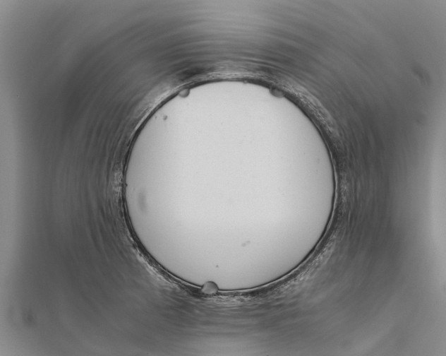 X0000111531185200908041258