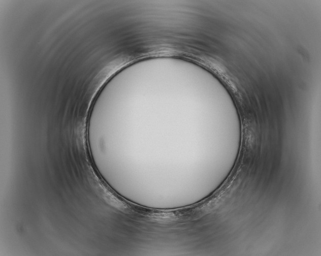 X0000111531186200908041258