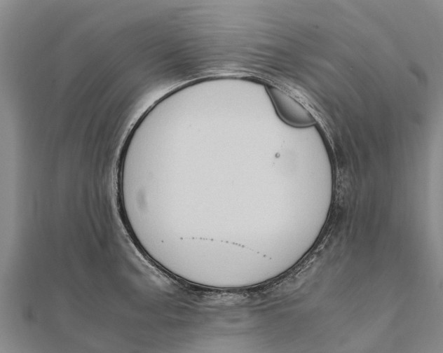 X0000111531187200908041258