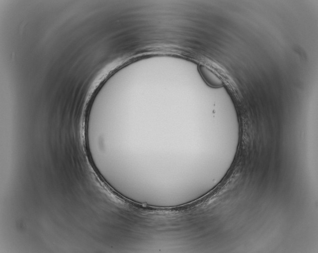 X0000111531188200908041258