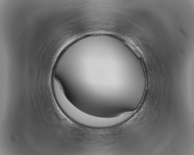 X0000111531189200908041258